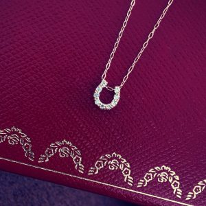 DEVASHRII JEWEL • 廸瓦許輕珠寶 - Horseshoe Symbol 0.05 克拉 diamond 馬蹄鐵鑽石裸感鎖骨項鍊 | 日本製輕珠寶